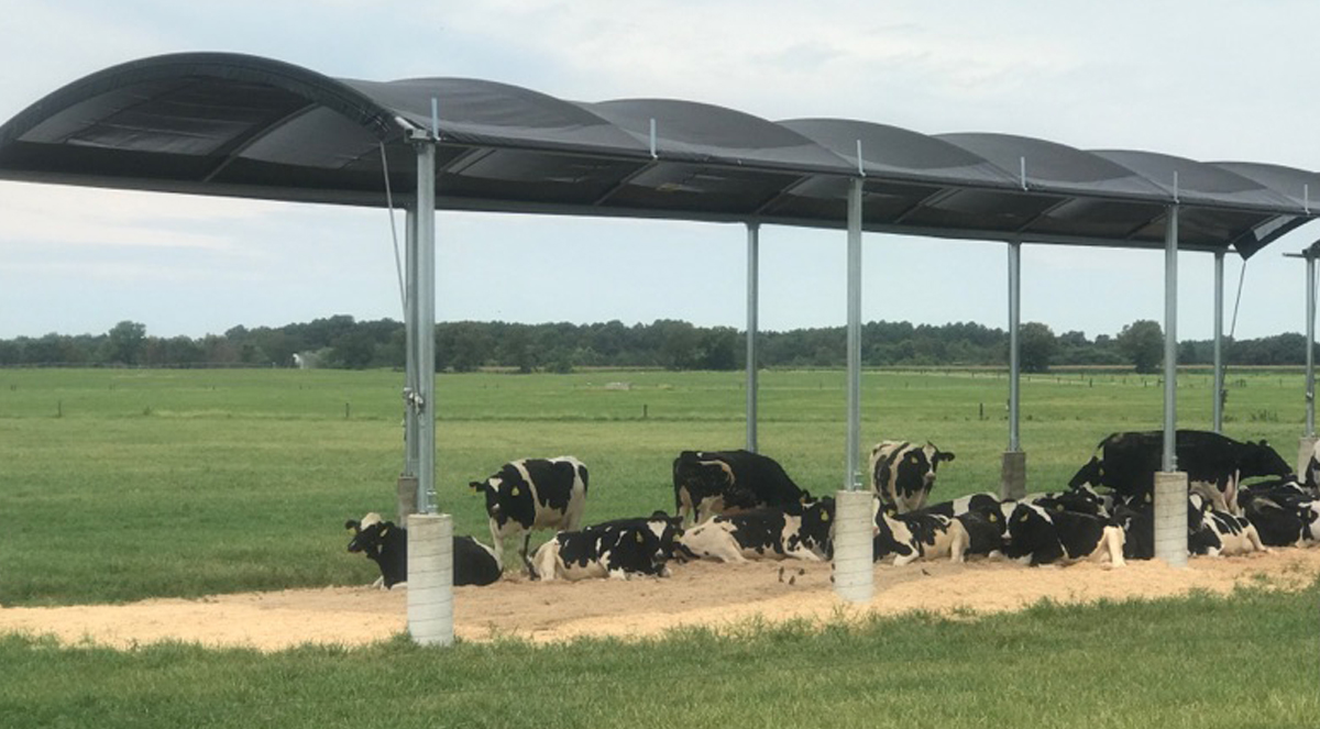 Rush-Co Tailored Covers | Permanent Shade for Livestock