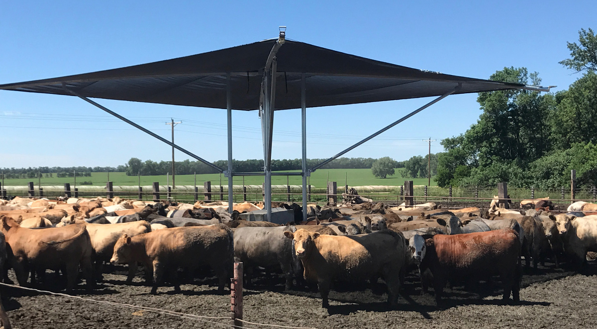 Rush-Co Tailored Covers | Portable Shade for Livestock