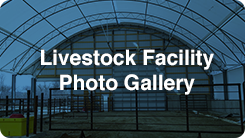 Livestock Photo Gallery